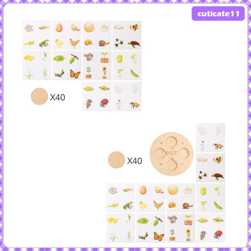 [Cuticate1] Life Cycle Toys Set Puzzles Matching Game with Flash Cards ...