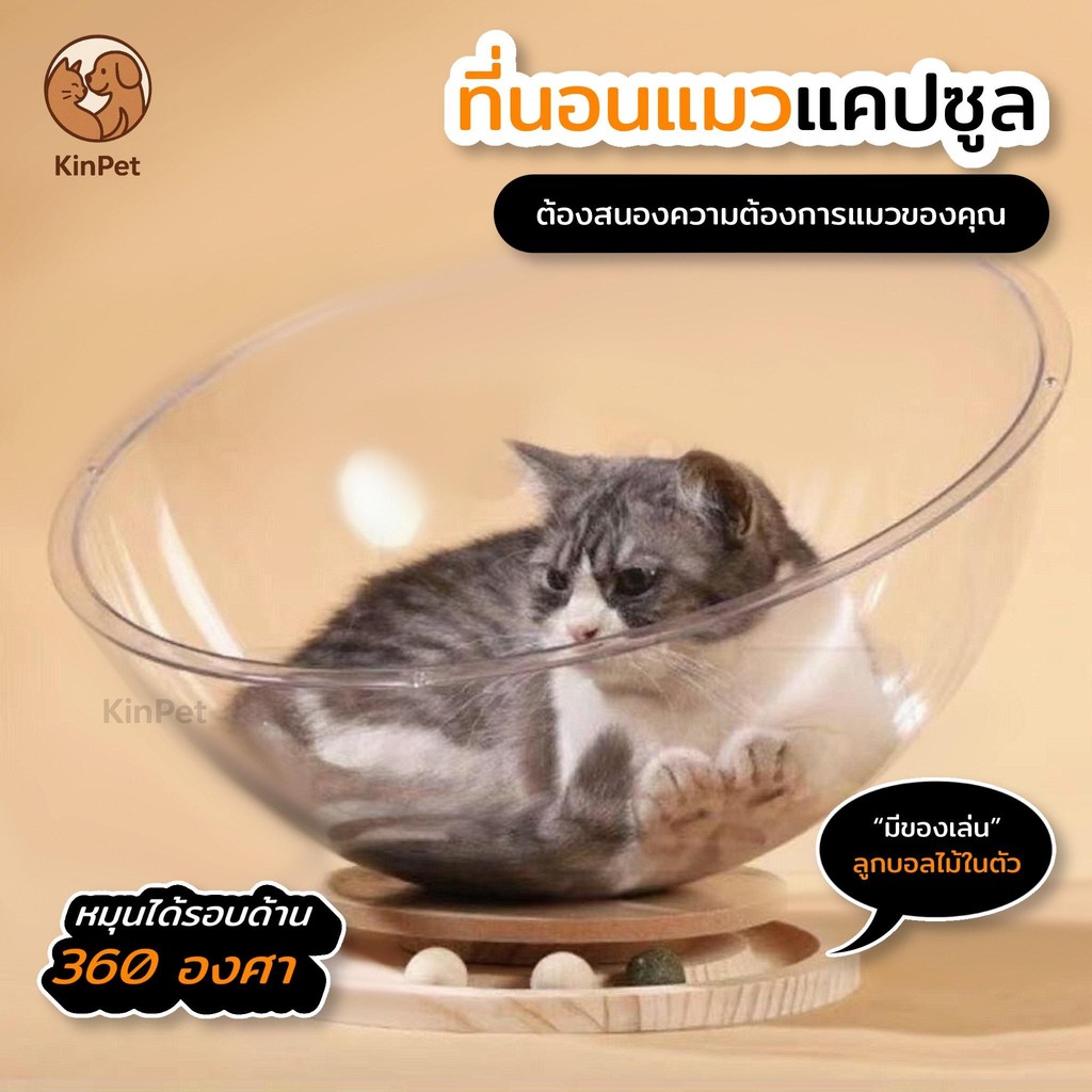 Cooling cat bed, cat apartment