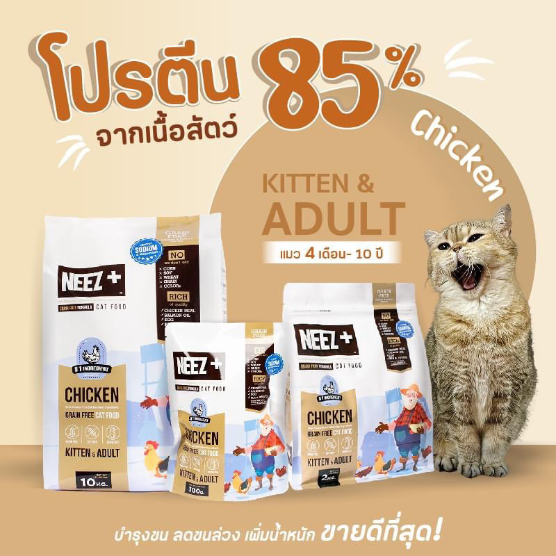 neez+ ราคาพิเศษ | ซื้อออนไลน์ที่ Shopee ส่งฟรี*ทั่วไทย!