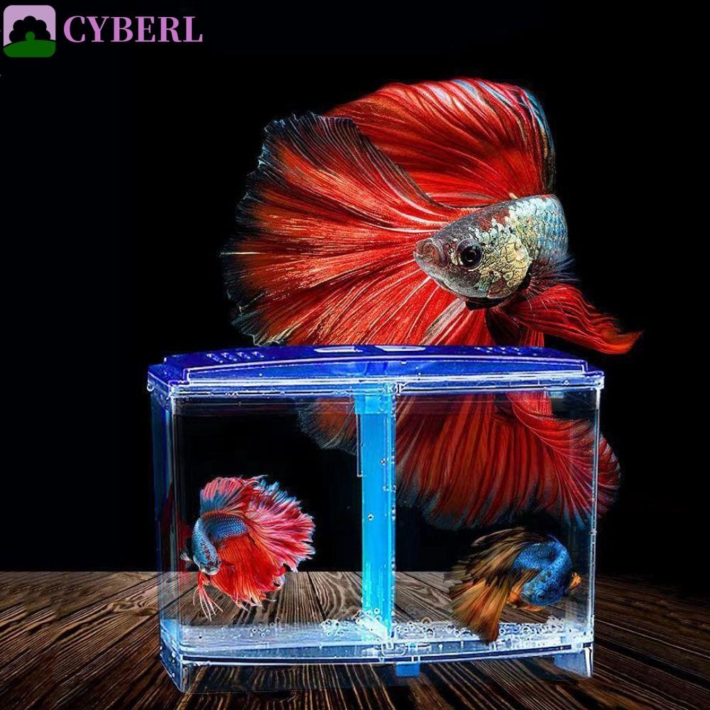 Cyberlinx Betta Fish Tank โปร่งใสพร้อมหญ้าน้ํา Double-Grid Betta ...