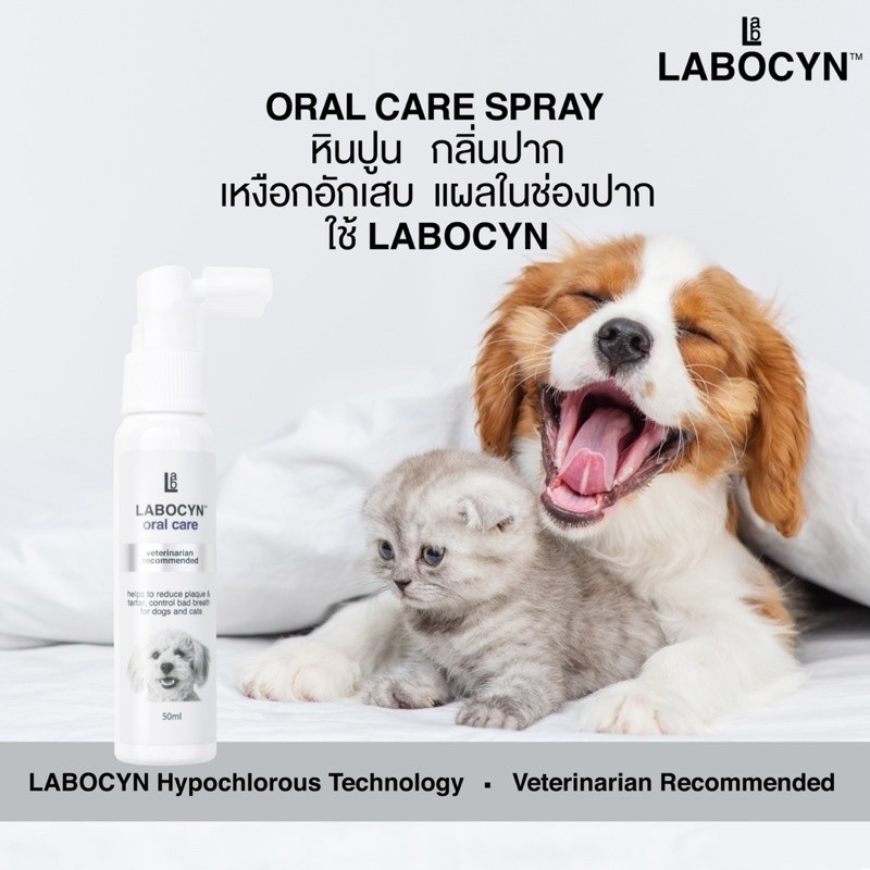 (exp 02/2027 )Labocyn Oral Care Spray ดูแลช่องปากทำความสะอาดสำหรับสัตว์ ...