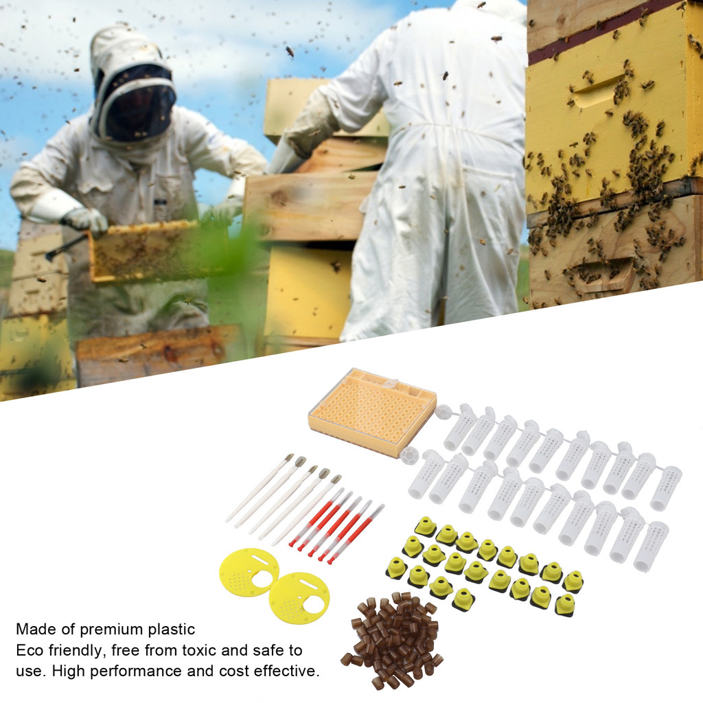 Barbaraa Queen Bee การเลี้ยงระบบพลาสติก Breeding Cell ถ้วย ชุด การ ...
