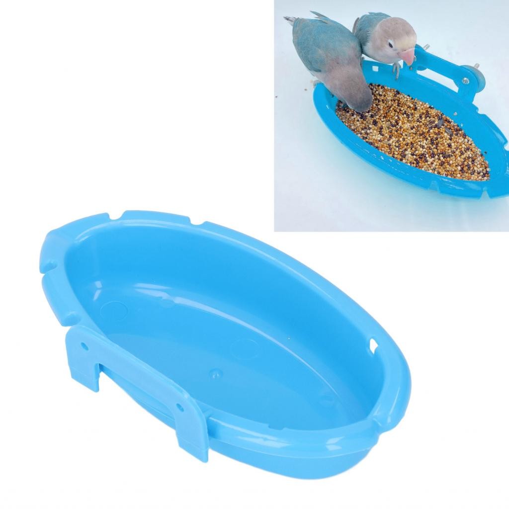 Curated visual reference: Visual Reference: Parrot Hanging Feeder Bird Bath Burr Free Safe Replacement สำหร