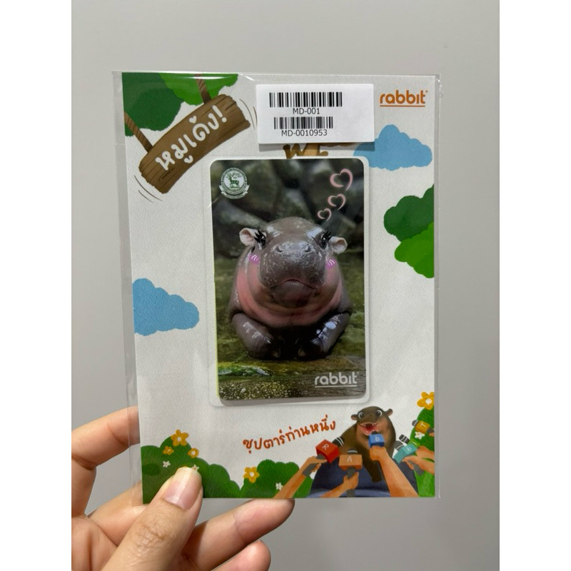 Rabbit Card บัตร BTS บัตรแรบบิท หมูเด้ง สำหรับบุคคลทั่วไป (Moodeng ...