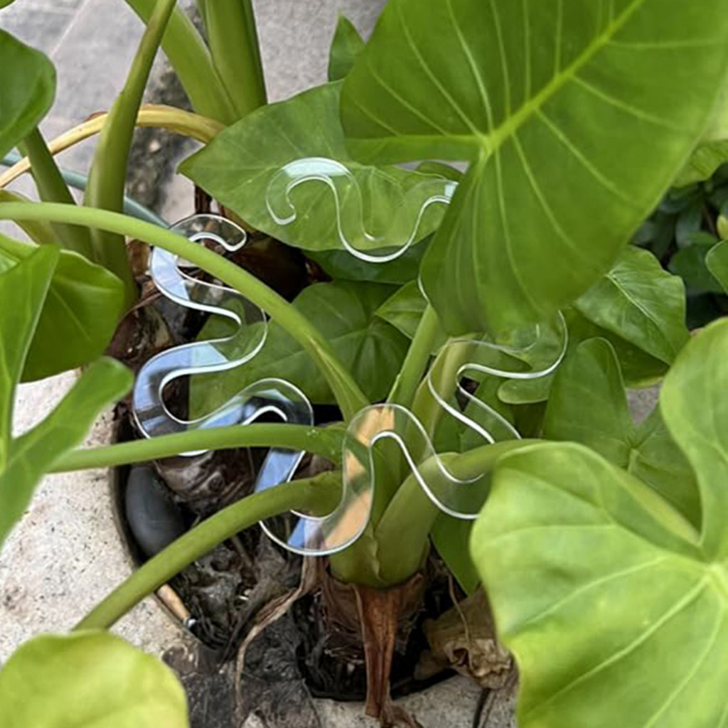 | Monstera Stand Outdoor Plant Support Monstera Plant Support Holder   Grapple Stem Holder   | Shopee Thailand