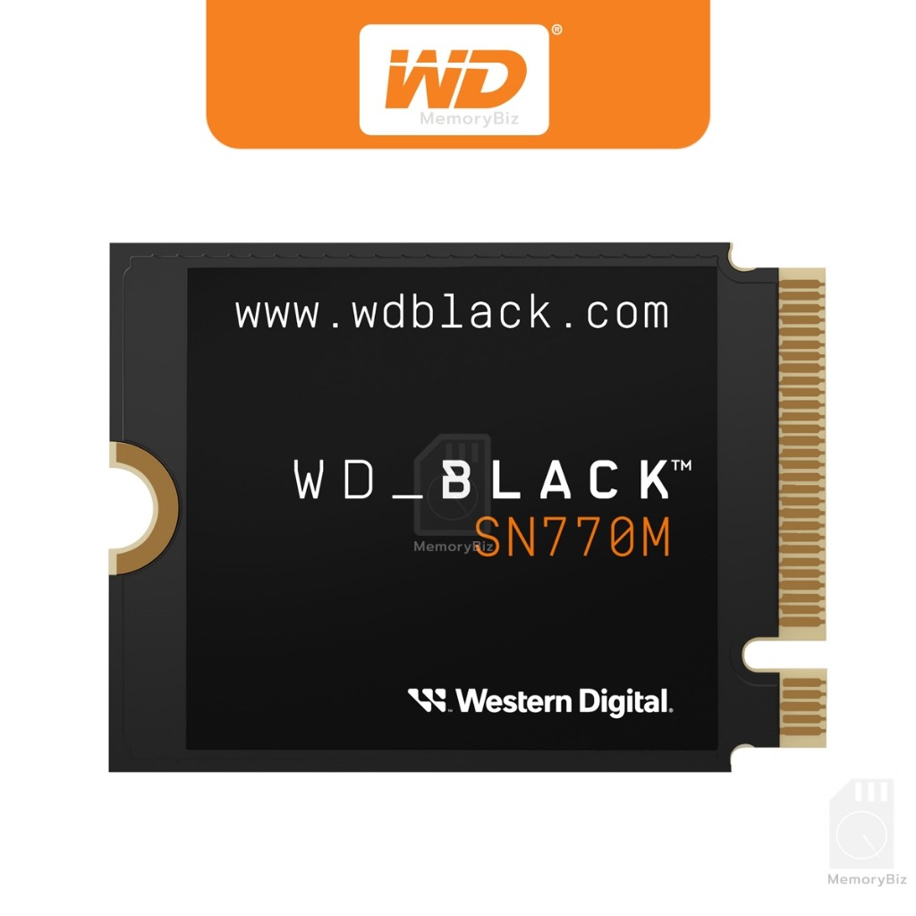 WS2023DEC002 (Black) main image 1