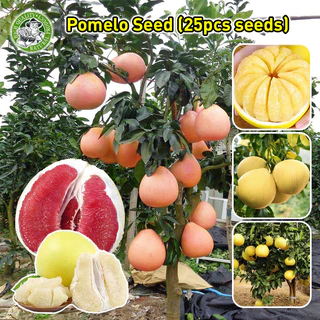 R様Jo Loves & Pomelo セット売り Sets – Jo Loves