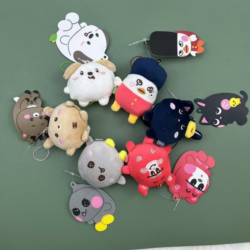 Kpop RIZE Merch - พวงกุญแจตุ๊กตาคอนเสิร์ตขนาดเล็ก, สุดพิเศษ FANCON ...