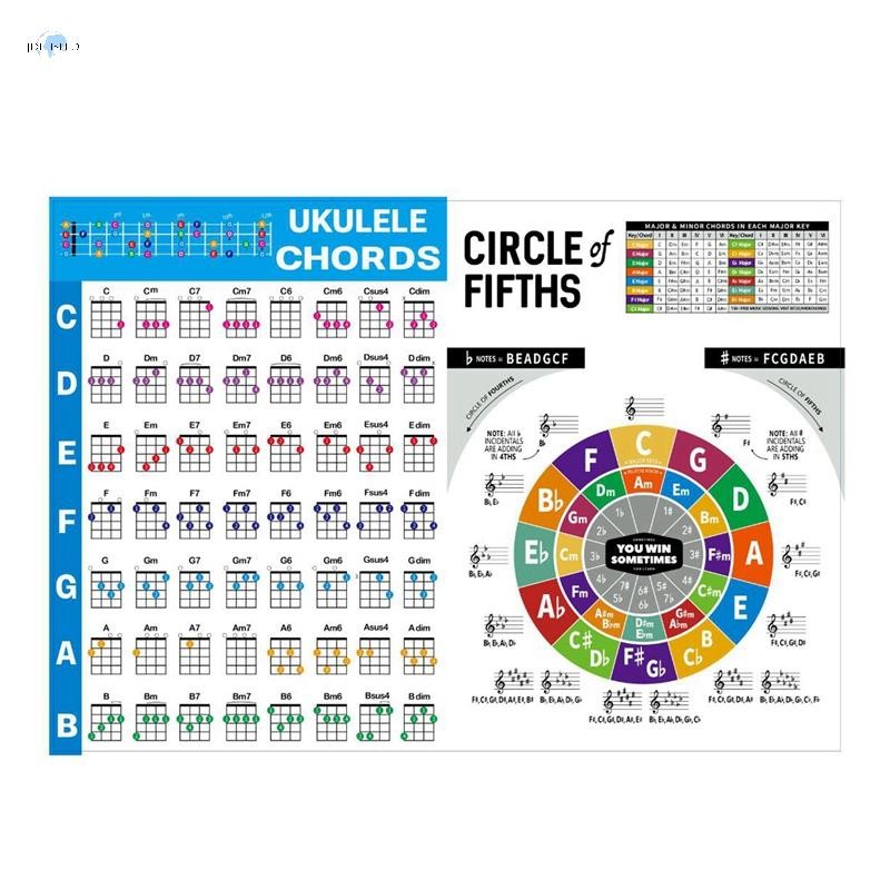 Ukulele Chord Chart สติกเกอร์ Ukelele เพลงการศึกษากีตาร์คอร์ดแผนภูมิ ...