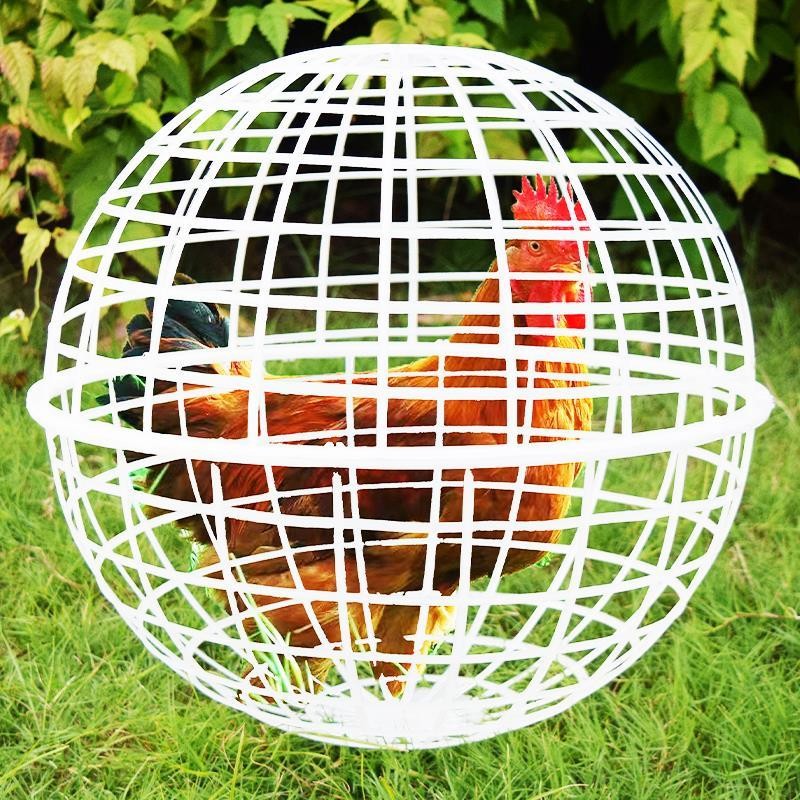 กรงไก่ในพื้นที่ชมวิวกรงไก่พลาสติกทรงกลมตาข่ายสีแดงกรงกระต่ายสามารถกลิ้งไปมาได้