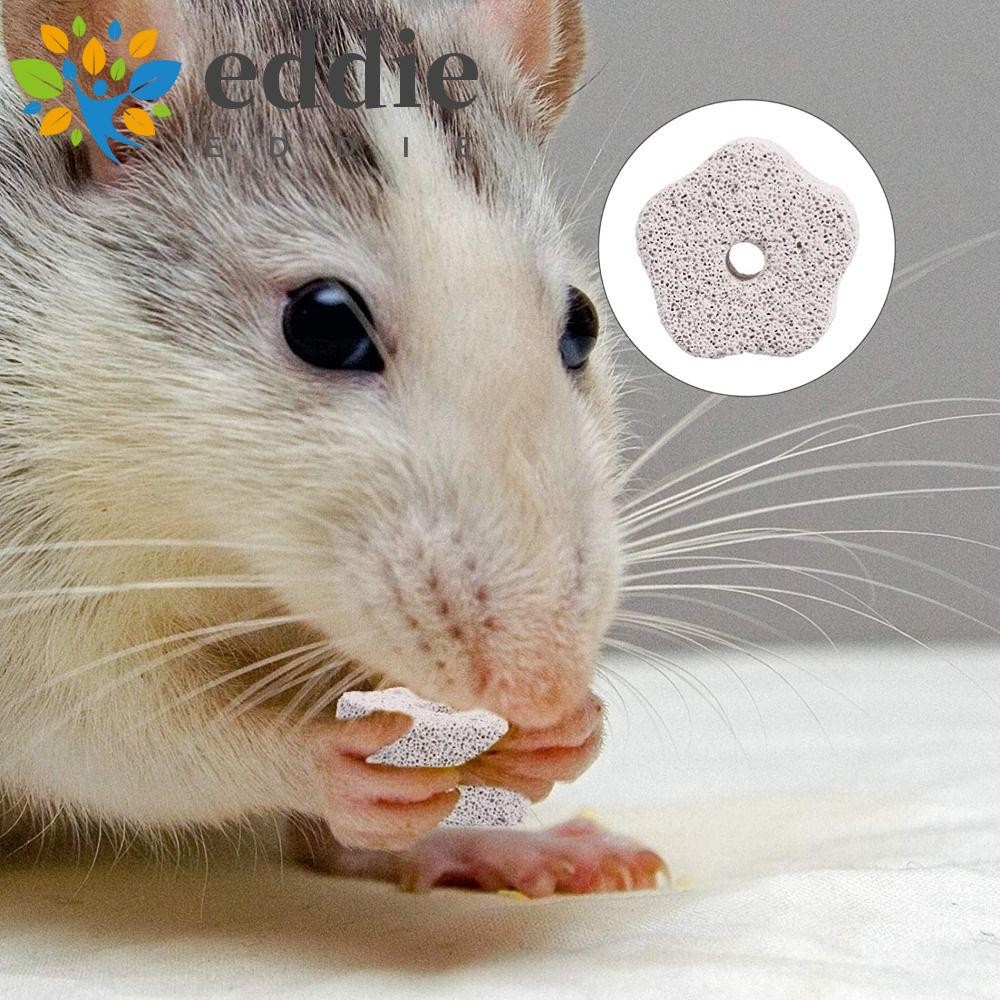 EDIE Lava Block Mineral Hamster Rabbit Flower Shaped Bunny กระรอกฟันหิน ...