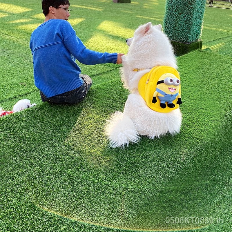 กระเป๋าเป้สัตว์เลี้ยง Golden Retriever Big Dog Outing Backpack Samoyed ...