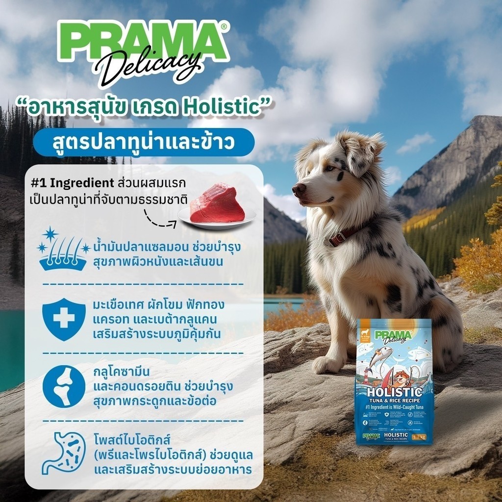 Prama dog food 15kg อาหารสุนัข (5kgx3bag) | Shopee Thailand