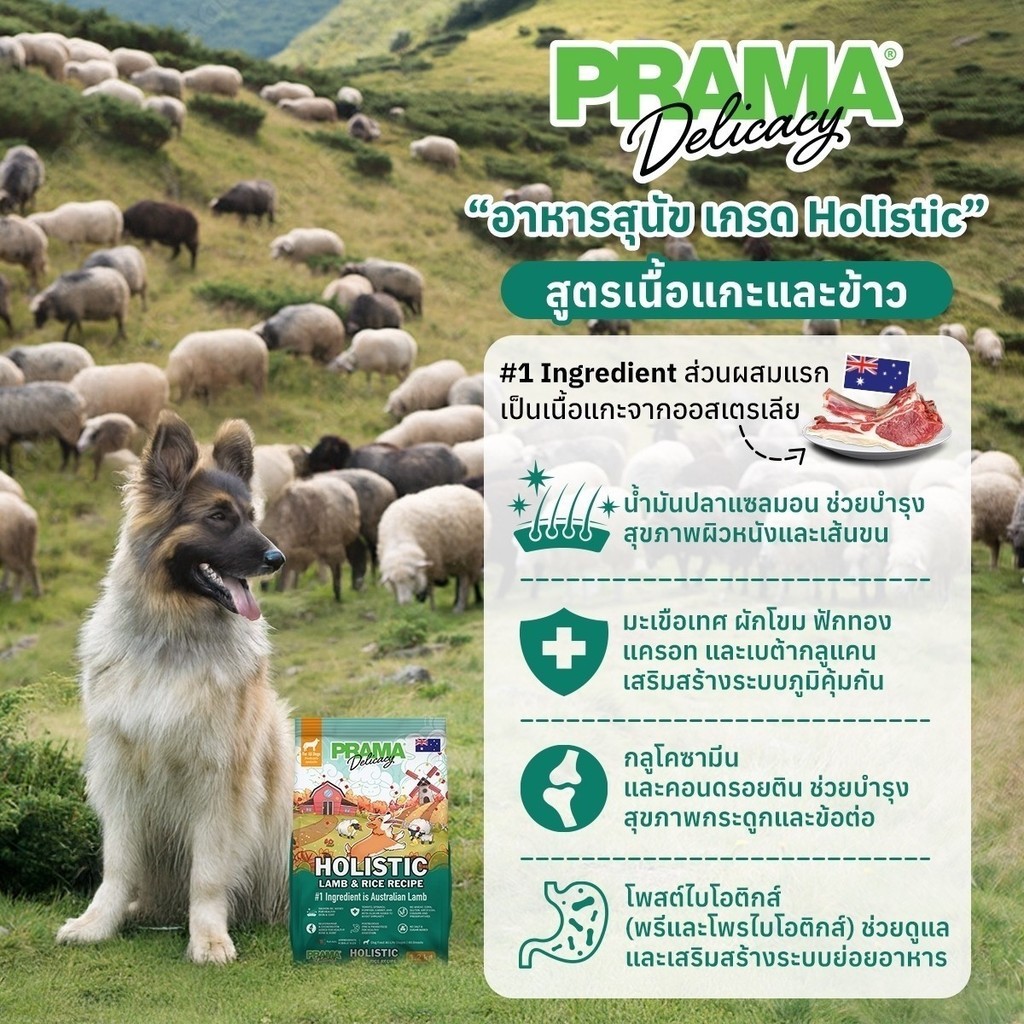 Prama dog food 15kg อาหารสุนัข (5kgx3bag) | Shopee Thailand