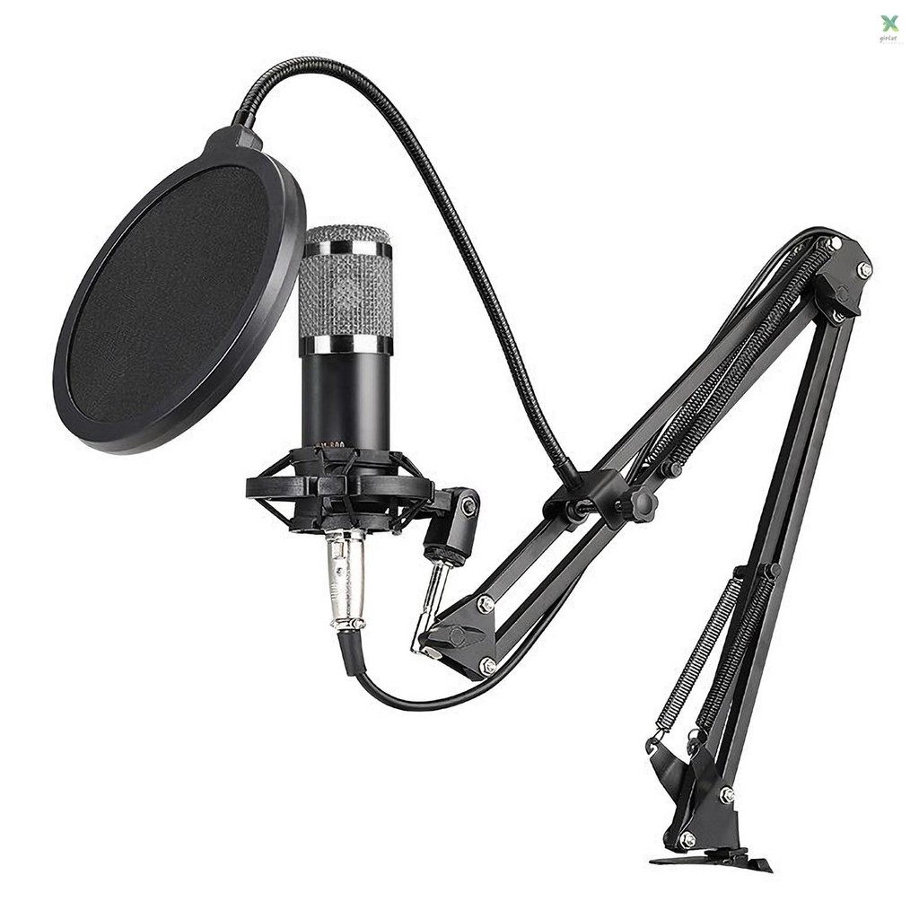 ยืนอุปกรณ์เพลง Professional คอนเดนเซอร์ Podcast Mic With Arm Usb Mic ...