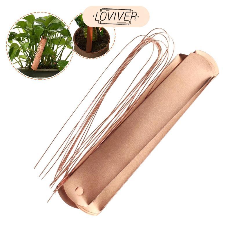 Weatherproof Copper Plant Labels แท็กโลหะขนาดใหญ่ Retake Garden สําหรับ ...