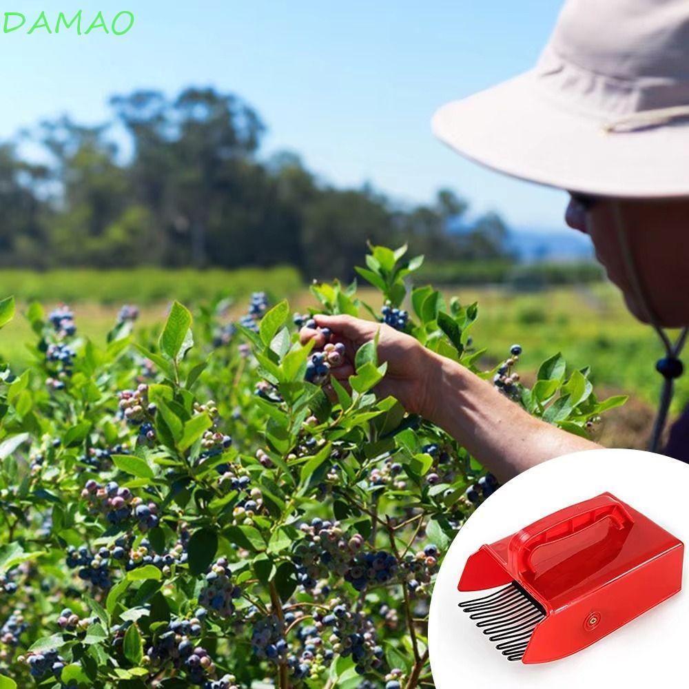DAMAO Berry Harvester, Picking โลหะหวี Rakes Blueberry Picker, เก็บ ...