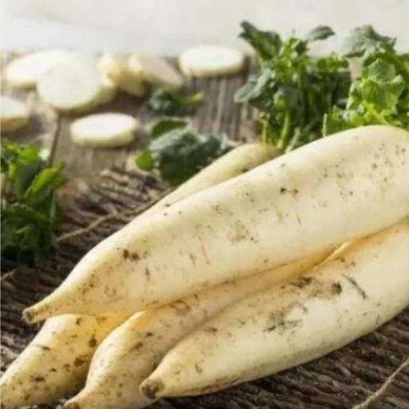 เมล็ดพันธฺุ์หัวไชเท้า50เมล็ด  ผลผลิตสูงหัวไชเท้า Carrots Vegetable Seed /  CARROT SEEDS ผลผลิตสูง