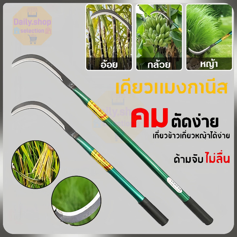 คมกริบ เหล็กแมงกานิส มีดพร้า มีดขอชัก มีดขอชักกล้วย ตัดแต่งใบกล้วย มีดตัดกล้วย มีดทำสวน มีดตัดแต่งกิ่งไม้ ด้ามยาว