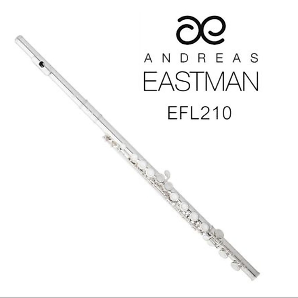 ฟลุต อีสแมน รุ่น EFL210 / Eastman Flute Medel EFL210