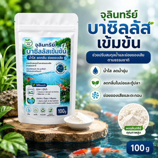 Vi sinh Bacillus đặc 100 g, tiêu hóa chất thải cá, giảm amoni, bể cá, ao cá, nước trong, giảm mùi, bể cây nước