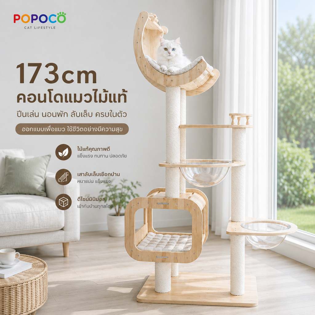 POPOCO คอนโดแมวไม้แท้ คอนโดแมวสูง