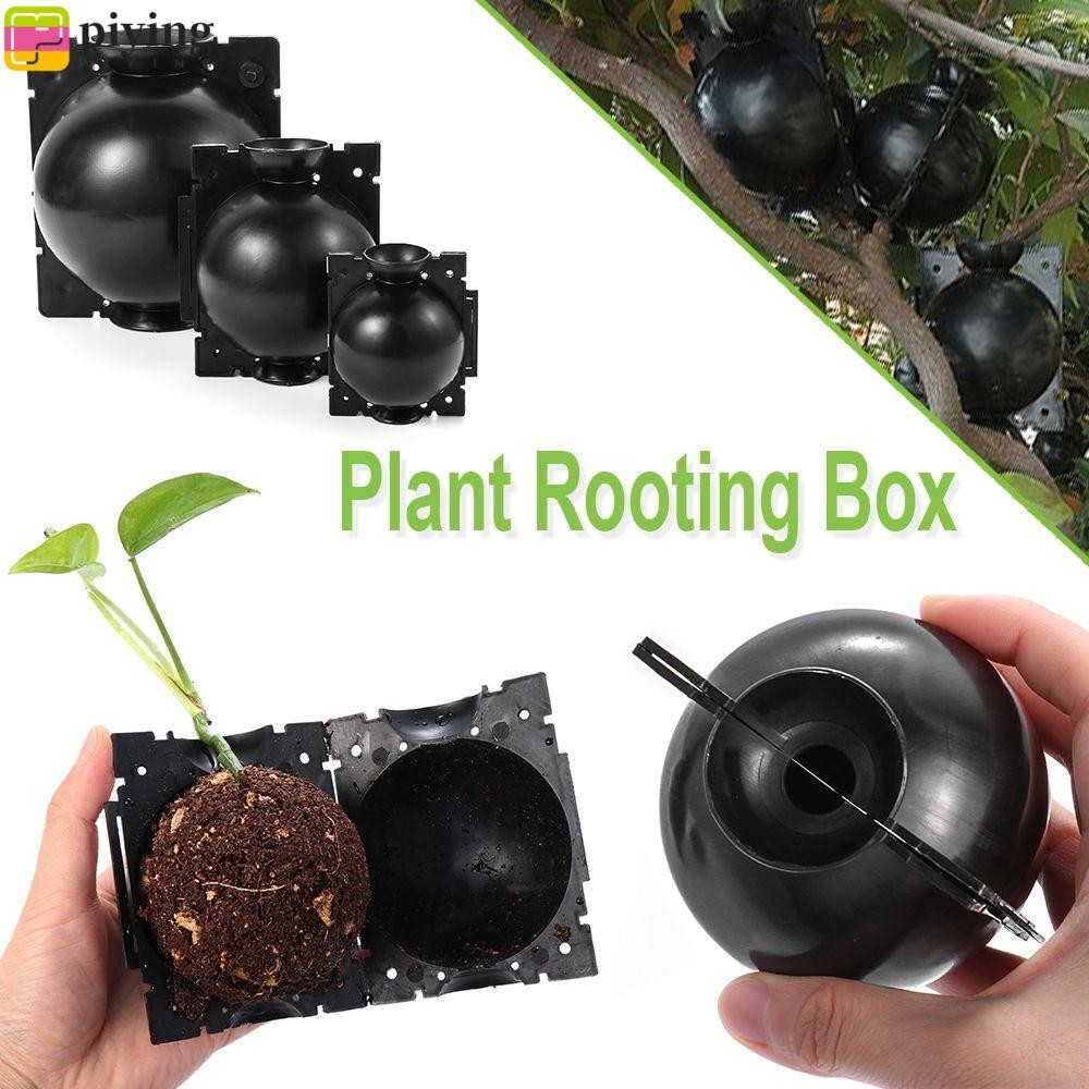 PIYING Botany Root Controller 3 สเปค Hot Growing Box Propagation Ball ...