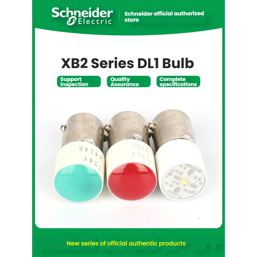Modulo Logico Telemecanique DL1-BL024 (DL1BL024) - Nuovo (senza Scatola) - Schneider Electric