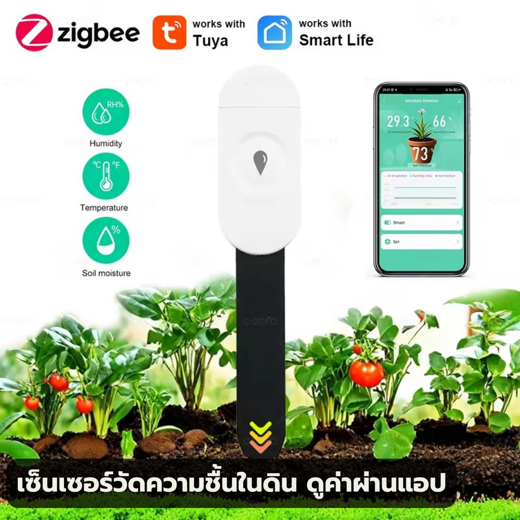 Tuya Zigbee Soil Sensor เซ็นเซอร์วัดความชื้นในดิน อุณหภูมิความชื้นใน ...