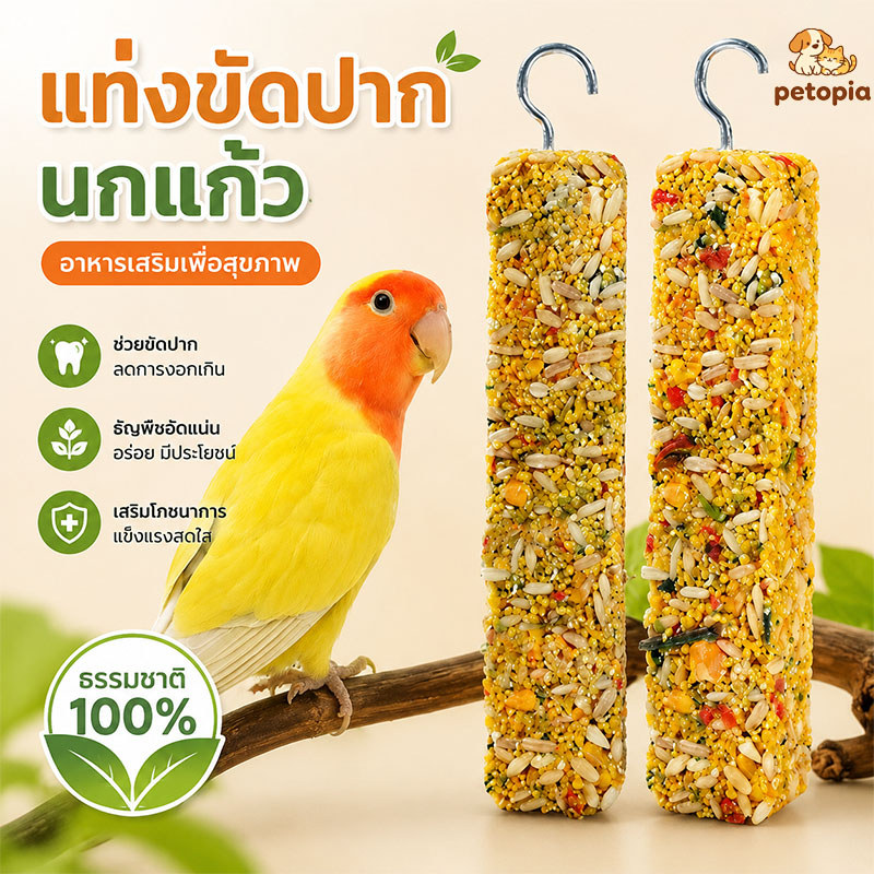 อาหารนก อาหารนกแก้ว อาหารนกผักและผลไม้ขนมขบเคี้ยวฟันกราม กรอบอร่อย ของเล่นนกแก้ว
