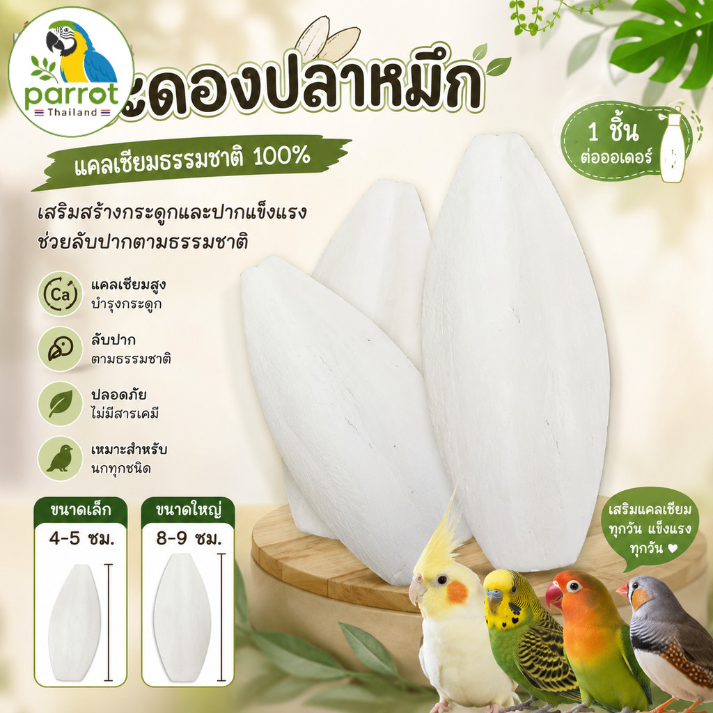 Parrot.thailand กระดองปลาหมึกแท้ แคลเซียมสูงสำหรับนก ลับปากธรรมชาติ ปลอดภัยไร้สารเคมี