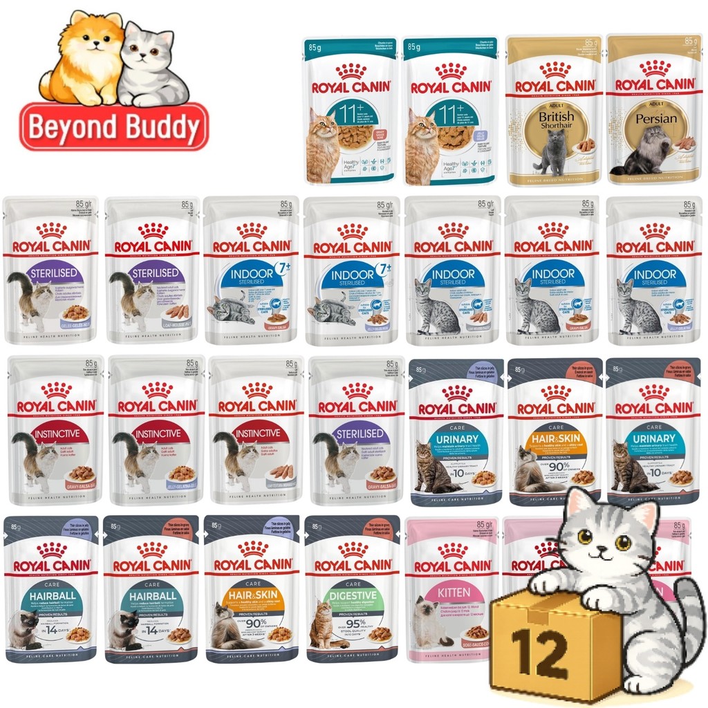 Royal Canin wet cat food (box of 12 pouches)