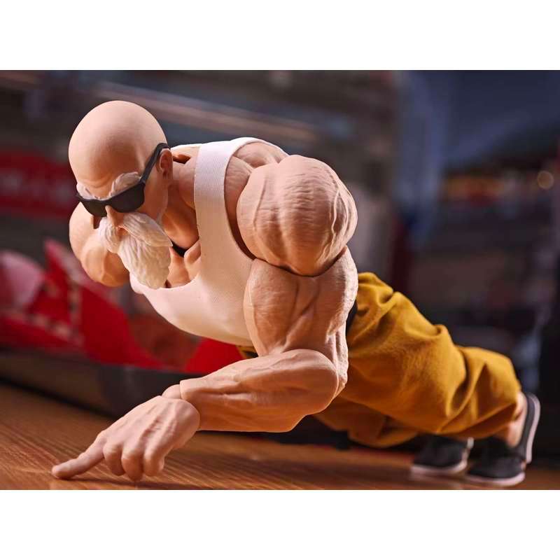 Dragon Ball Power Tournament: Master Roshi's Robe. Dragon Ball Power ...