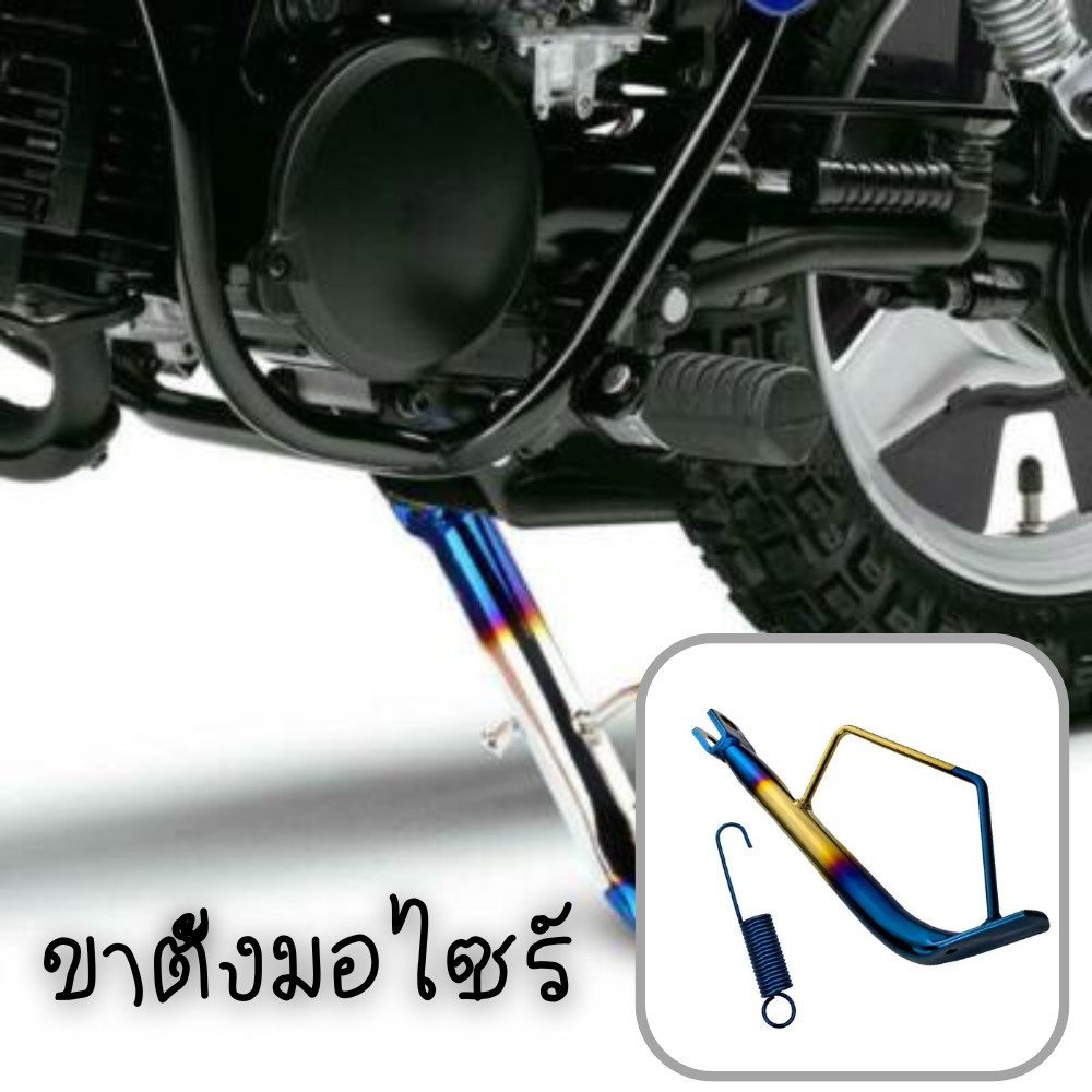 ขาตั้งด้านข้าง ขาตั้งเท้าสแตนเลส พร้อม สปริงขาตั้งข้าง 2192 | Shopee ...