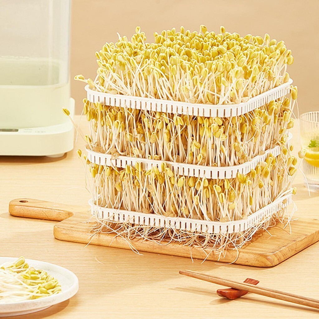 [svzfjuv] Bean Sprouts Making Seedling Sprouters Tray Grower Sprouting ...