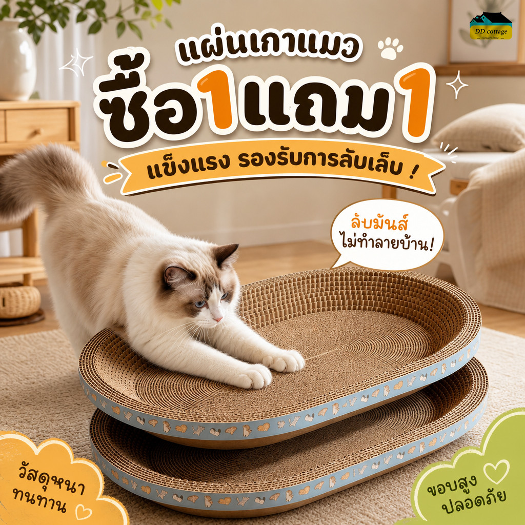 1 แถม 1 อ่างลับเล็บแมว 2in1 รูปไข่-ทรงกลม