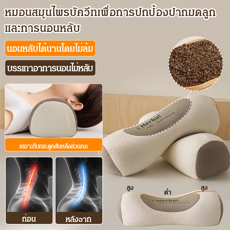 ช่วยให้นอนหลับลึกตลอดคืน หมอน บักวีท สุขภาพสำหรับผู้ใหญ่ หมอนรองกระดูกคอปรับสรีระ
