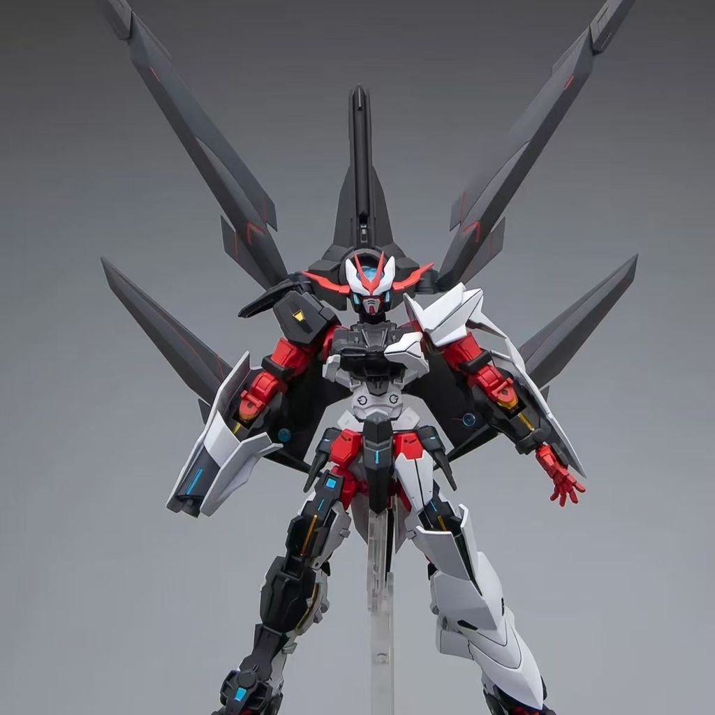 Beast Tiger HG 1/144 012 Unknown Heresy เปลี่ยนเสื้อคลุมสีดํา Black ...