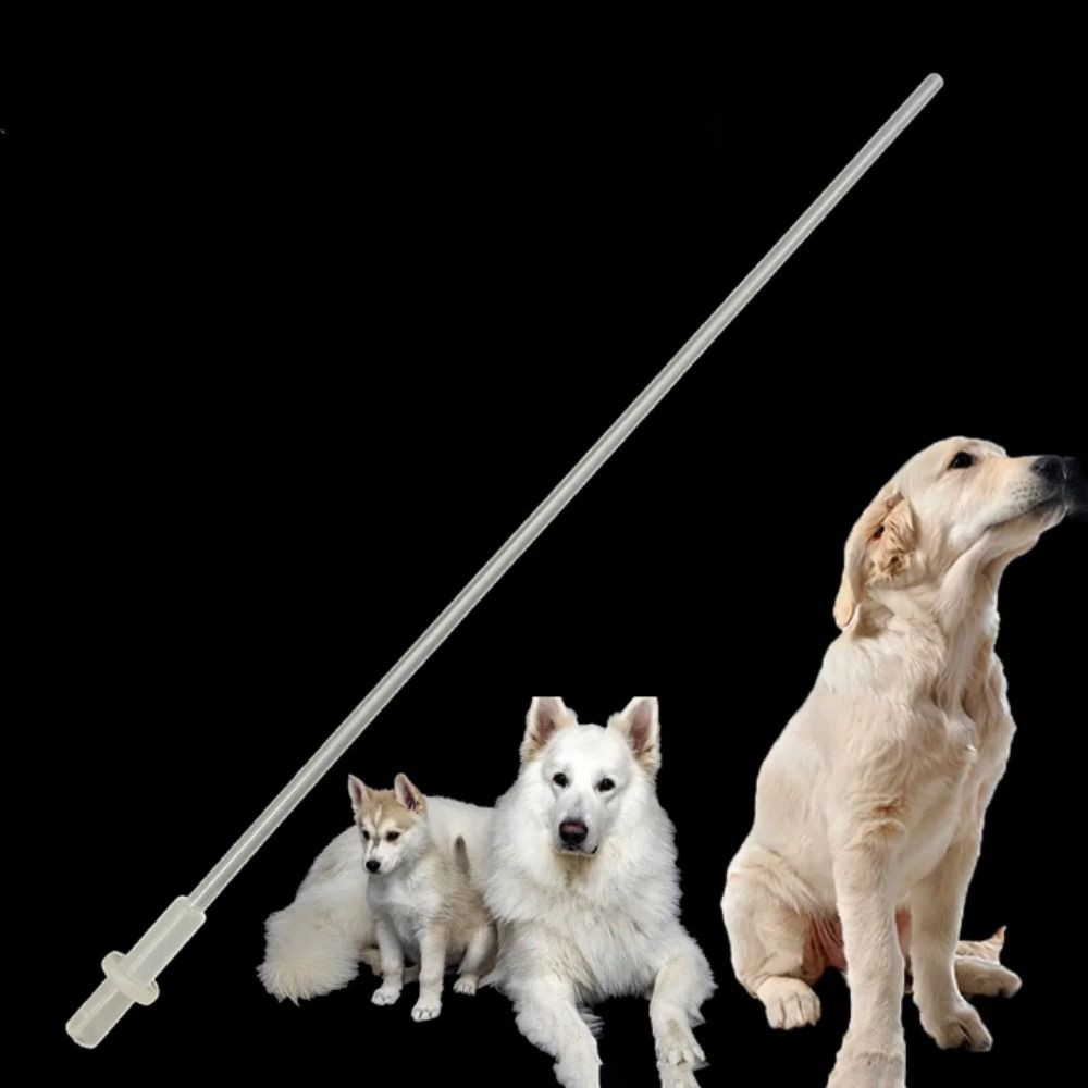 CYBER 10 ชิ้น Canine ประดิษฐ์ Insermination ท่อ, Professional โปร่งใส ...