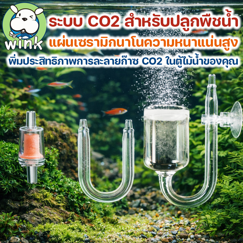 COD CO2 Diffuser แก้วเกลียว 3 ชั้น กระจายฟองละเอียด อะคริลิคใส สำหรับ ...