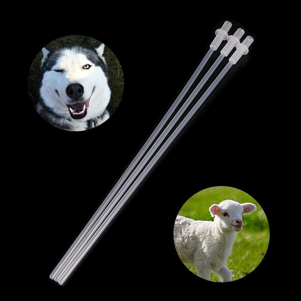 CYBER 10 ชิ้น Canine ประดิษฐ์ Insermination ท่อ, Professional โปร่งใส ...