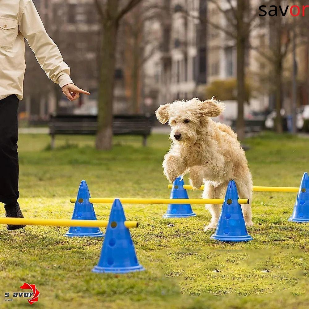 CHROM Dogs Running Jumping Stakes, ชุดฝึกสัตว์เลี้ยงแบบมีรูแบบพกพา ...