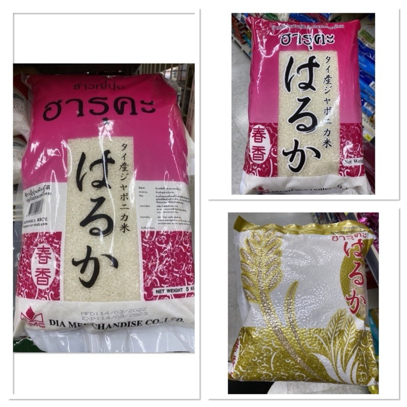 ข้าวญี่ปุ่น ฮารุคะ 5 Kg. Japonica Rice Haruka / ข้าวกล้องญี่ปุ่น ฮารุคะ ...