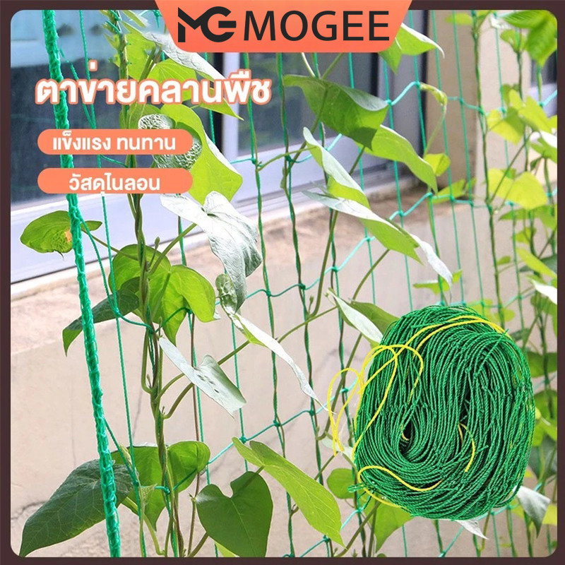 MOGEE ตาข่ายสำหรับพืชไม้เลื้อย ตาข่ายไม้เลือย ตาข่ายปลูกผัก ค้างไม้ ...