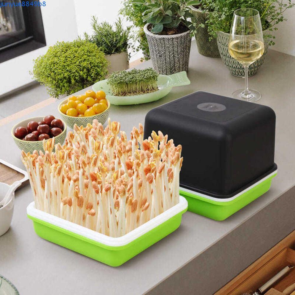 RADIX Sprout Planting Pot Breathable Multifunctional Peanut Bean Sprout ...