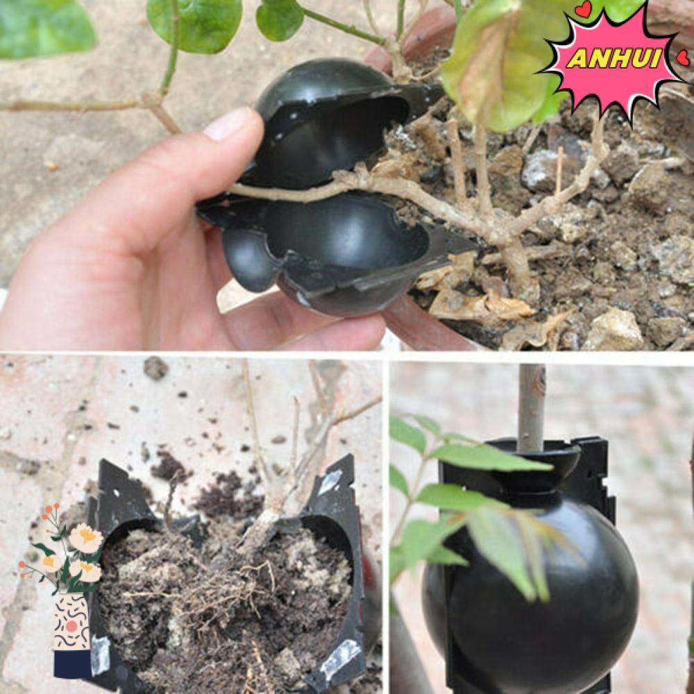 ANHUI Plant Rooting อุปกรณ์ Grafting Botany Root Controller แรงดันสูง ...