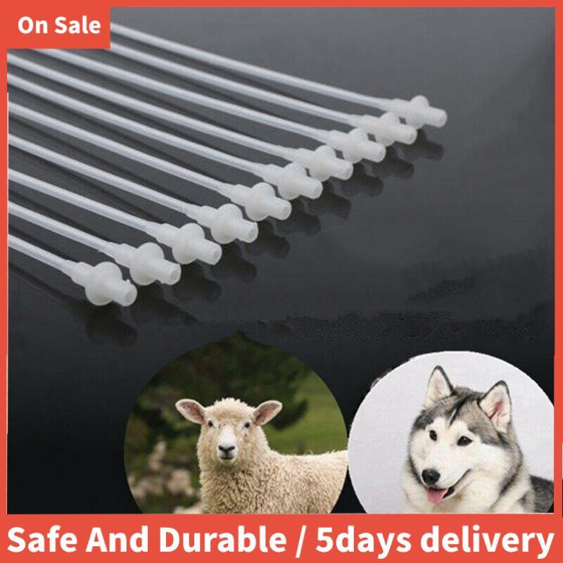 50 ชิ้น Rods Breeding Catheter Tube สุนัขแกะแพะ 10 นิ้ว | Shopee Thailand