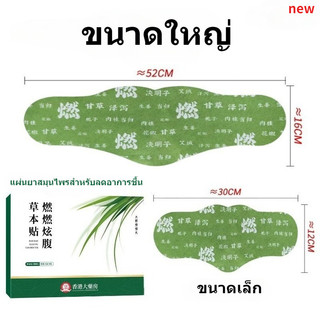 ใหม่ แพทช์ โกฐจุฬาลัมพา, แผ่นแปะสมุนไพรเผาผลาญไขมัน, แผ่นแปะปุ่มท้อง, แผ่นแปะหน้าท้องกระชับสัดส่วน