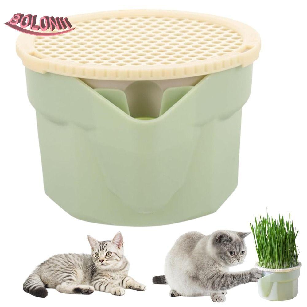 BO Cat Grass Box Planter, การออกแบบที่น่ากลัว Microgreens Growing Kit ...