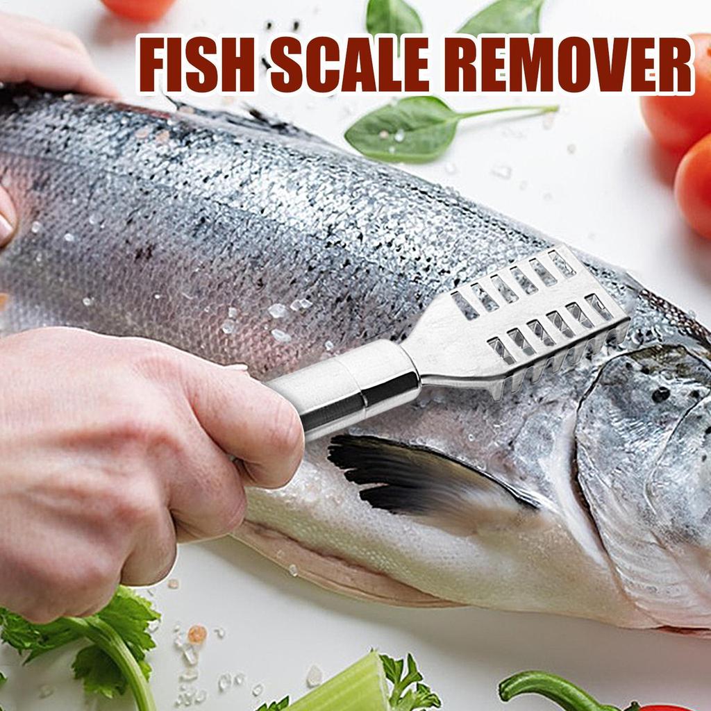 Fish Scale Remover สแตนเลสปลา Scaler Fish Scraper ปลา Scale Removal ...